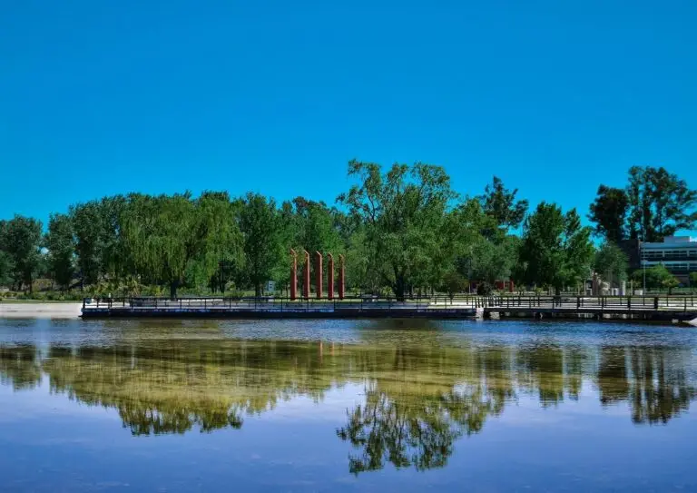 el lago vm